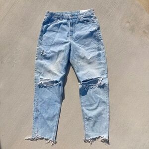 American Eagle Curvy Mom Jeans size 10 NWT